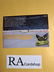 Season Stats Västerås IK 95-96 Leaf #125 SHL Hockey