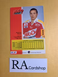 Andreas Olsson 94-95 #253 Leaf  SHL Hockey