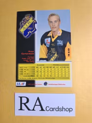 Peter Gerhardsson 94-95 #249 Leaf SHL Hockey