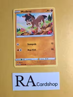 Mudbray Common 105/202 Sword and Shield Pokemon