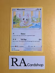 Minccino Common 145/202 Sword and Shield Pokemon