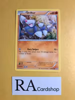 Drilbur Common 89/160 Primal Clash Pokemon