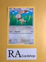 Bunnelby Common 120/160 Primal Clash Pokemon