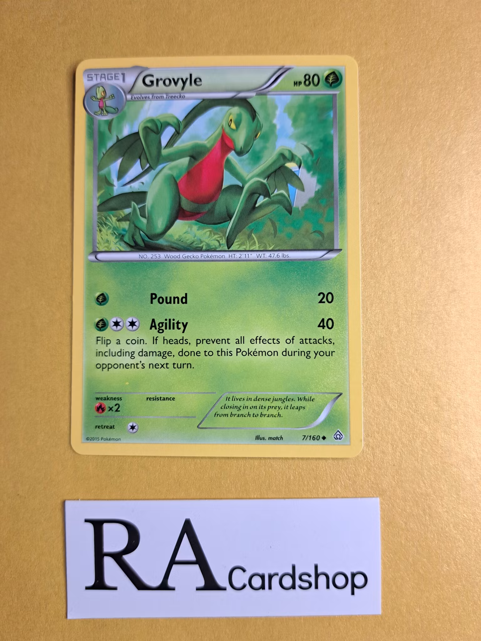Grovyle Uncommon 7/160 Primal Clash Pokemon