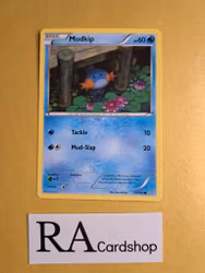 Mudkip Common 33/160 Primal Clash Pokemon