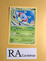Volbeat Common 17/160 Primal Clash Pokemon