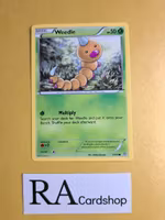 Weedle Common 1/160 Primal Clash Pokemon