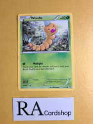 Weedle Common 1/160 Primal Clash Pokemon