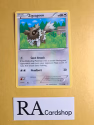 Zigzagoon Common 111/160 Primal Clash Pokemon