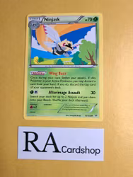 Ninjask Uncommon 10/108 Roaring Skies Pokemon