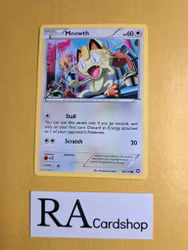 Meowth Common 88/114 Steam Siege Pokemon