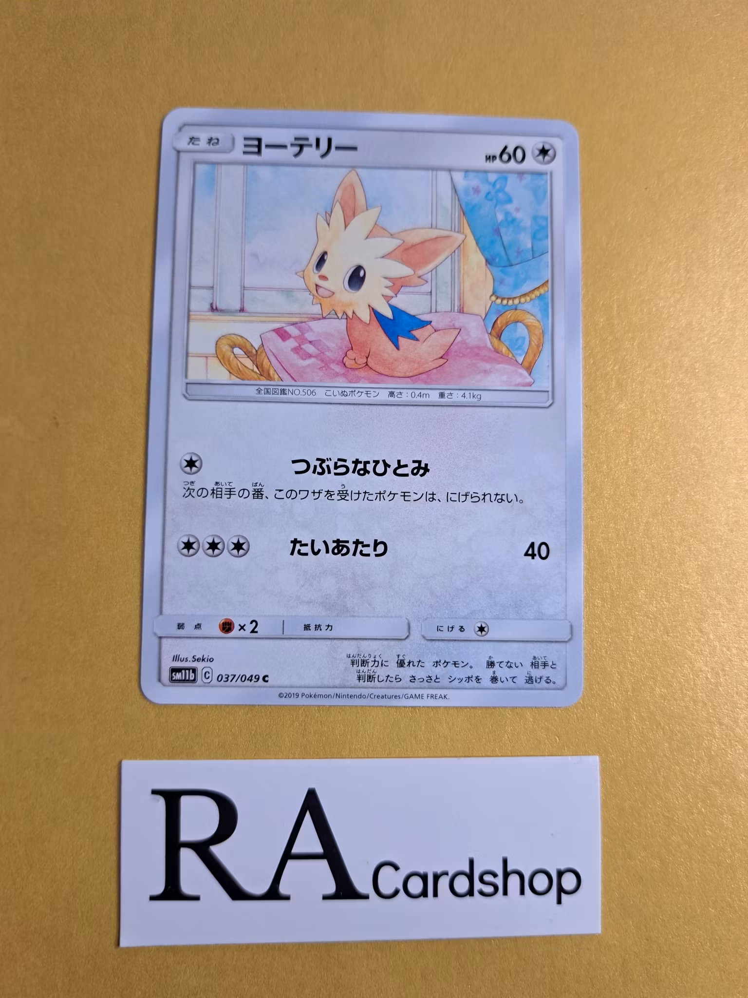 Lillipup Common 037/049 Dream Leauge sm11b Pokemon