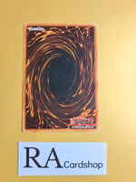 Fissure Common UNLIMITED SYE-028 Starter Deck: Yugi Evolution SYE Yu-Gi-Oh