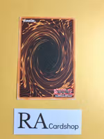 Spirit Elimination Common UNLIMITED LON-E102 Labyrinth of Nightmare LON Yu-Gi-Oh