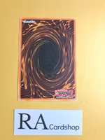 ST. Joan Common UNLIMITED LON-E045 Labyrinth of Nightmare LON Yu-Gi-Oh