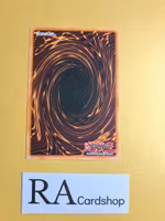 The Six Samurai - Yaichi (2) Common UNLIMITED STON-EN007 Strike of Neos STON Yu-Gi-Oh