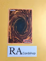 Type Zero Magical Crusher Common UNLIMITED DB1-EN188 Dark Beginning 1 DB1 Yu-Gi-Oh