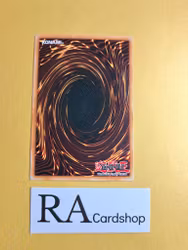 Type Zero Magical Crusher Common UNLIMITED DB1-EN188 Dark Beginning 1 DB1 Yu-Gi-Oh