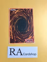 Fake Trap Common UNLIMITED DB1-EN164 Dark Beginning 1 DB1 Yu-Gi-Oh