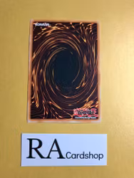 Toll Common UNLIMITED DB1-EN019 Dark Beginning 1 DB1 Yu-Gi-Oh