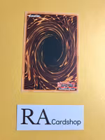 Shift Common UNLIMITED DB1-EN182 Dark Beginning 1 DB1 Yu-Gi-Oh