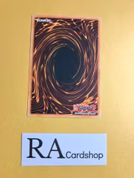 Shift Common UNLIMITED DB1-EN182 Dark Beginning 1 DB1 Yu-Gi-Oh