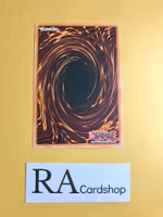 Flame Manipulator Common UNLIMITED DB1-EN107 Dark Beginning 1 DB1 Yu-Gi-Oh