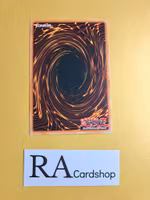 Drill Bug Common UNLIMITED DB1-EN192 Dark Beginning 1 DB1 Yu-Gi-Oh