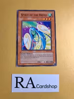 Spirit of the Breeze Common UNLIMITED DB1-EN235 Dark Beginning 1 DB1 Yu-Gi-Oh