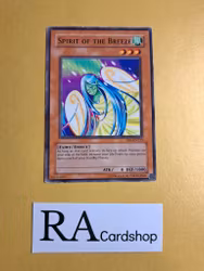 Spirit of the Breeze Common UNLIMITED DB1-EN235 Dark Beginning 1 DB1 Yu-Gi-Oh