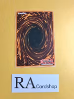 Armed Ninja Common UNLIMITED DB1-EN130 Dark Beginning 1 DB1 Yu-Gi-Oh