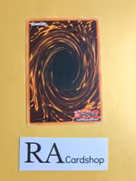 Inferno Tempest Common UNLIMITED Exclusive Pack EP1 Ep1-EN007 Yu-Gi-Oh