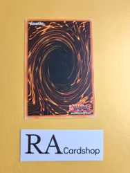 Drooling Lizard COMMON LOB-E093 Legend of Blue Eyes White Dragon LOB Yu-Gi-Oh