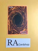 The Furious Sea King COMMON LOB-E027 Legend of Blue Eyes White Dragon LOB Yu-Gi-Oh