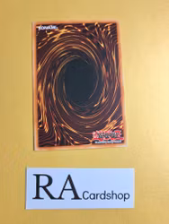 Shinatos Ark Common UNLIMITED DR1-EN191 Dark Revelation Volume 1 DR1 Yu-Gi-Oh