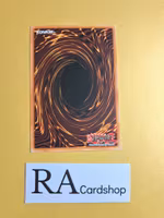 Second Goblin Common UNLIMITED DR1-EN068 Dark Revelation Volume 1 DR1 Yu-Gi-Oh