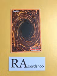 Second Goblin Common UNLIMITED DR1-EN068 Dark Revelation Volume 1 DR1 Yu-Gi-Oh