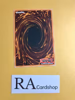 Ameba Common UNLIMITED DB1-EN008 Dark Beginning 1 DB1 Yu-Gi-Oh