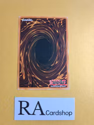 Reinforcement of the Army Common 1st Edition SD5-EN024 Structure Deck: Warrior's Triumph SD5 Yu-Gi-Oh