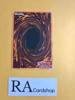 Command Knight Common 1st Edition SD5-EN008 Structure Deck: Warrior's Triumph SD5 Yu-Gi-Oh