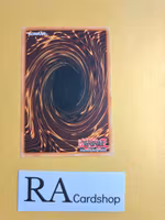 Gearfried the Iron Knight Common 1st Edition SD5-EN005 Structure Deck: Warrior's Triumph SD5 Yu-Gi-Oh