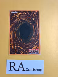 Fairy of the Spring Common 1st Edition SD5-EN028 Structure Deck: Warrior's Triumph SD5 Yu-Gi-Oh