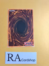 Rare Metalmorph Common SD10-EN035 Structure Deck: Machine Re-Volt SD10 Yu-Gi-Oh