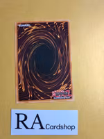 Roll Out! Common SD10-EN037 Structure Deck: Machine Re-Volt SD10 Yu-Gi-Oh