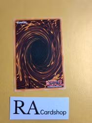 Roll Out! Common SD10-EN037 Structure Deck: Machine Re-Volt SD10 Yu-Gi-Oh