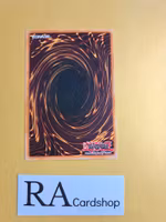 Enemy Controller Common SD10-EN027 Structure Deck: Machine Re-Volt SD10 Yu-Gi-Oh