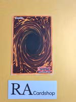 Ancient Gear Fist Common SD10-EN020 Structure Deck: Machine Re-Volt SD10 Yu-Gi-Oh