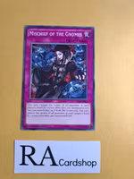 Mischief of the Gnomes Common SECE-ENS081 Eternity SECE Yu-Gi-Oh