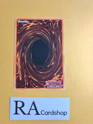 Mischief of the Gnomes Common SECE-ENS081 Eternity SECE Yu-Gi-Oh