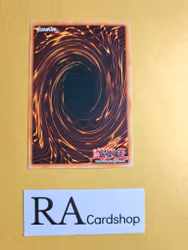 Mind Haxorz Common 1st Edition RDS-EN054  Rise of Destiny RDS Yu-Gi-Oh